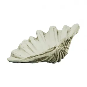 Clam Shell Decoration 27cm