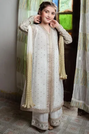 HEM02 Pakistani wedding wear for girls with stunning design