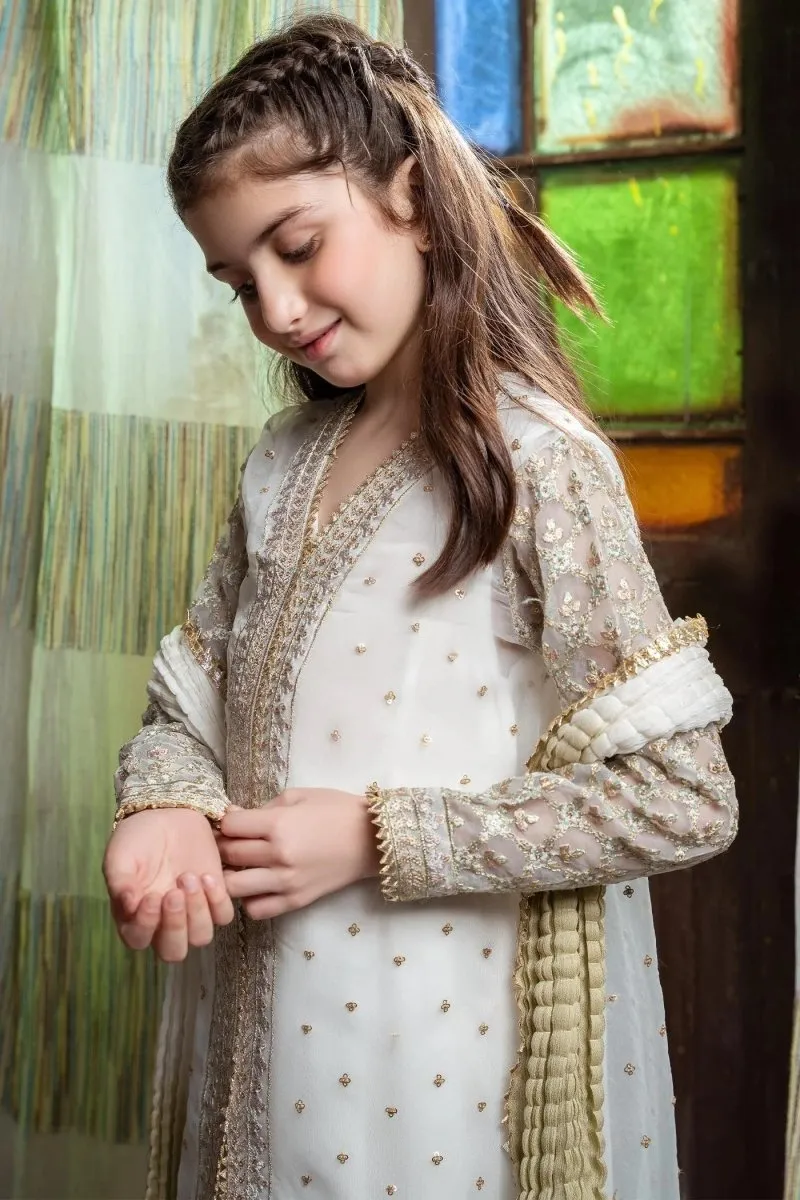 HEM02 Pakistani wedding wear for girls with stunning design